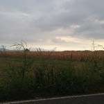 MOSTRA BOCCHI