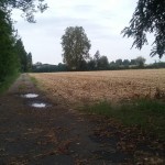20160916_081957