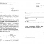 ELEZIONI COMITATO 2020-1
