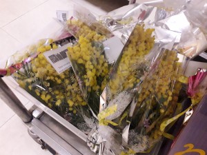 MIMOSE (3)